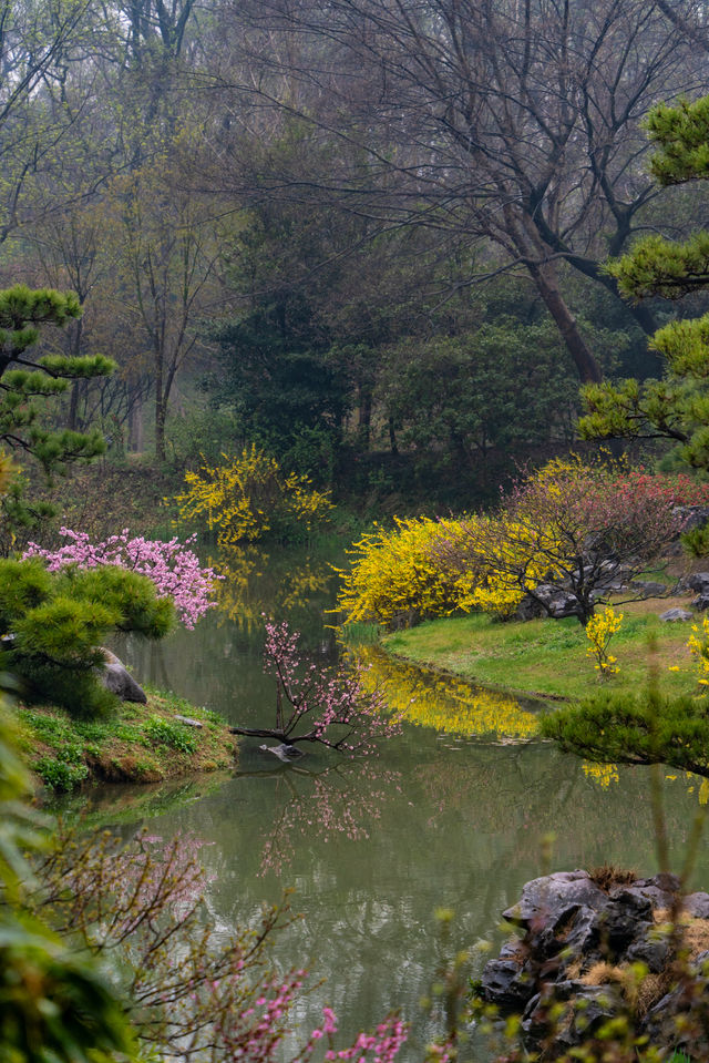 煙花三月，被「揚州」美翻！