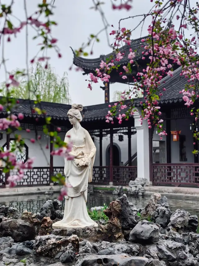 The flower viewing in Nanjing was graced with a sudden wind and a swift rain yesterday, yet the crabapple blossoms remain as beautiful as ever