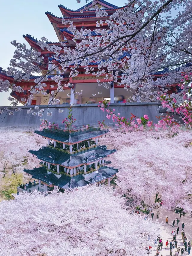 I thought West Lake was beautiful enough, until I went to Wuxi