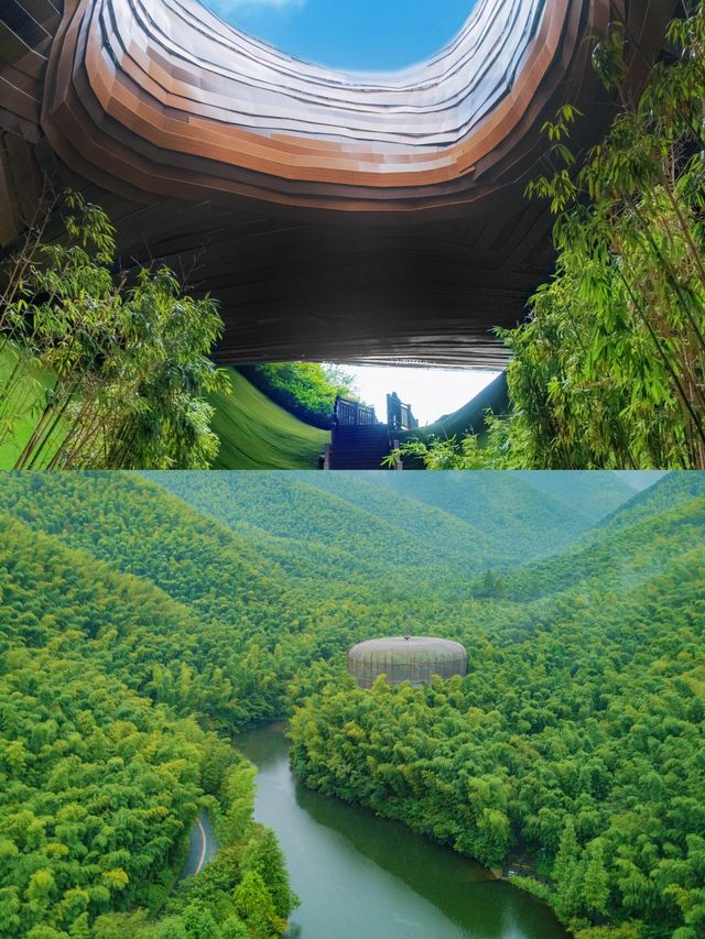 山水竹林，江南綠野