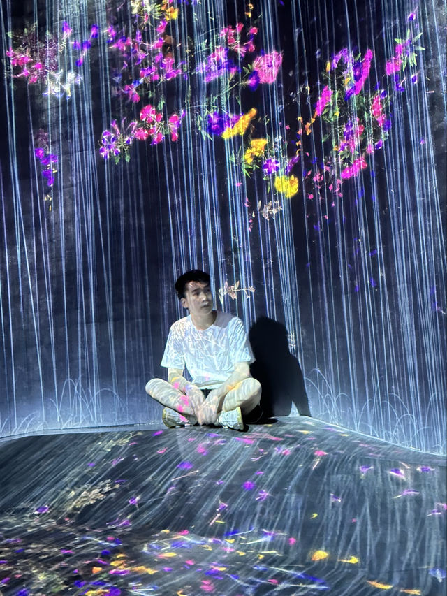 夢幻仙境漫遊指南:探尋teamLab無界美術館 夢幻仙境漫遊指南:探尋teamLab無界美術館