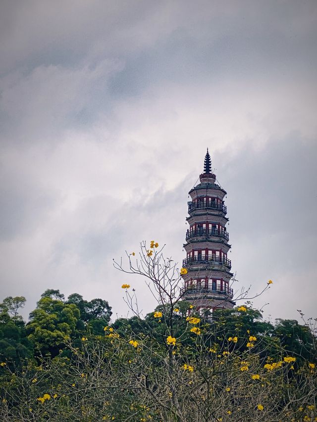 嶺南賞精選趁還沒熱到融化趕緊來順德順峰山