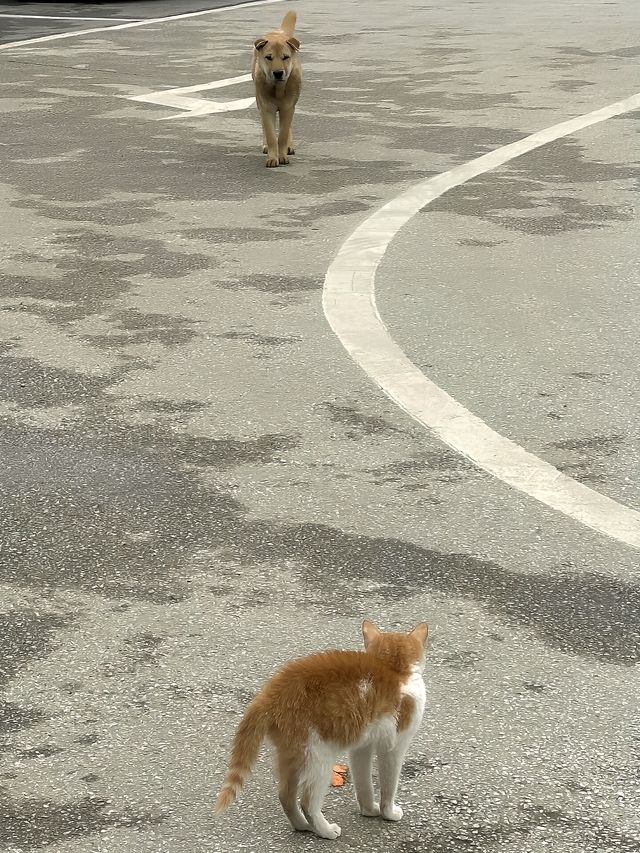 陽塑兩天兩夜旅遊攻略