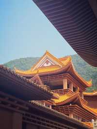 深圳百年古寺|7月1有燈會！！