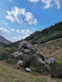 漫遊烏蒙大草原：夏日的涼爽之旅