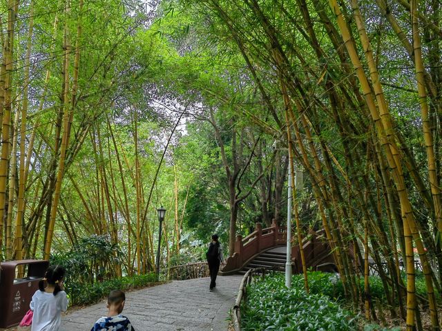 就在東莞南城，親子爬山好去處