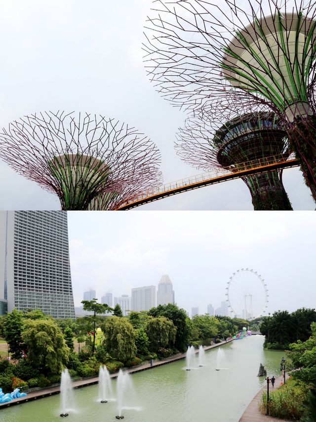 花園城市新加坡門面擔當 濱海灣花園