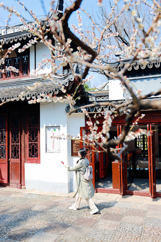 12元門票的古猗園，去看最後一波梅花