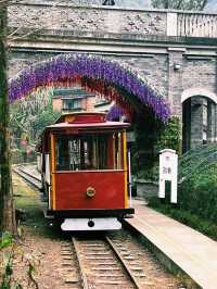 四川樂山嘉陽小火車｜開往春天的列車