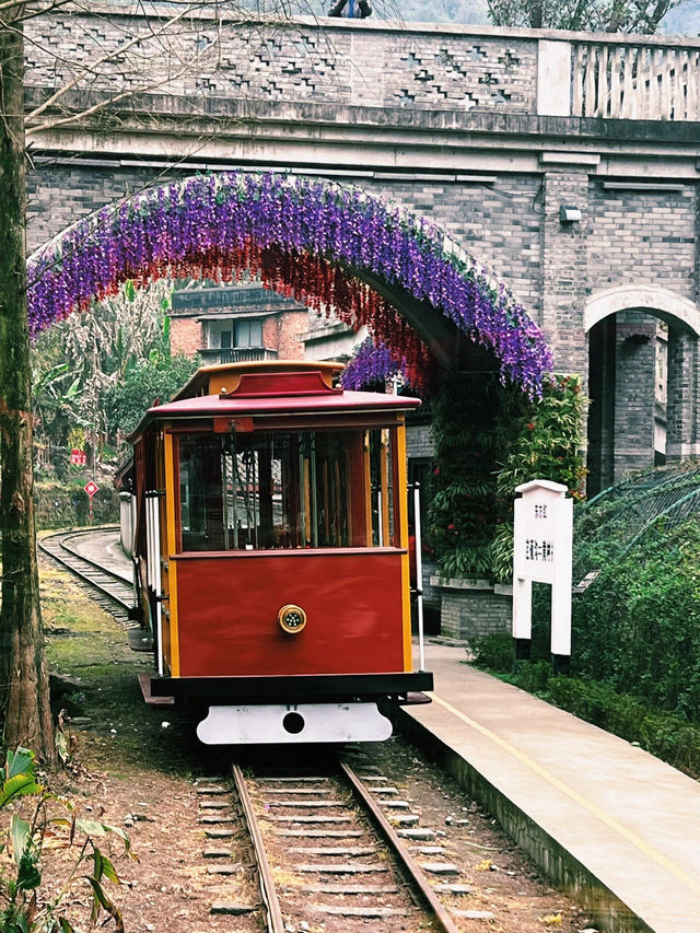 四川樂山嘉陽小火車｜開往春天的列車