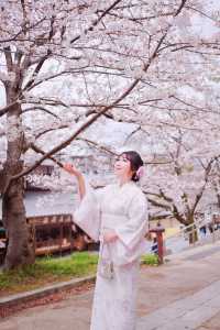 京都賞花｜避開人流拍出氛圍感和服照