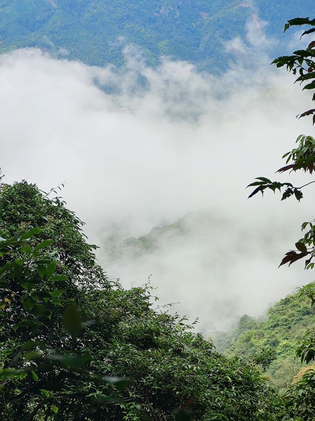 人少景美的聖堂山