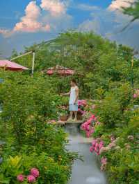 Madly beautiful❗️I would like to call it Alice's Wonderland Afternoon Tea.