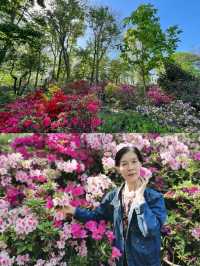 上海植物園，妳玩得可真花