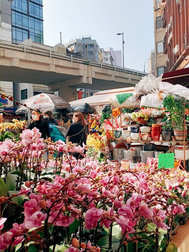 春日鮮花開滿街 | in旺角花墟