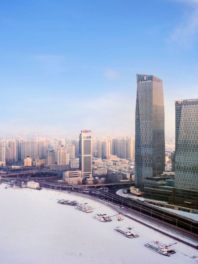 🌟 Harbin's Top Hotels: Luxury Views & Cultural Wonders 🏨❄️🎭