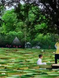 星光下的夢幻夜—中科植物園，星空，螢火蟲露營地體驗記