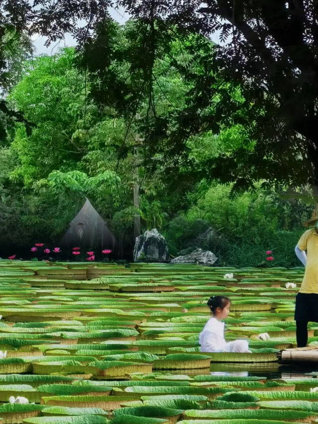 星光下的夢幻夜—中科植物園，星空，螢火蟲露營地體驗記