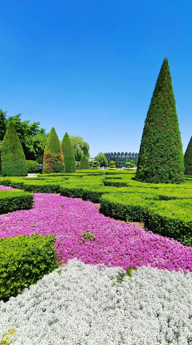 Beijing Parks | A World of Flowers Grand View Garden Transformed into Oil Paintings