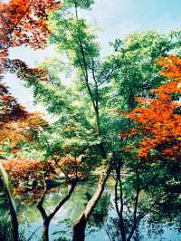 「京都庭院散步，你不可錯過的春天好去處」