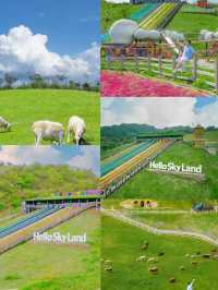 送給6-8月去安吉旅遊的姐妹超全避雷攻略