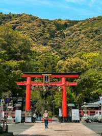Matsuo-taisha Shrine is a Hidden Gem in Kyoto, Japan ⛩️🇯🇵