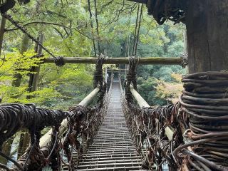 One of Japan's three great hidden regions, Shikoku's Iya Valley and Oboke!