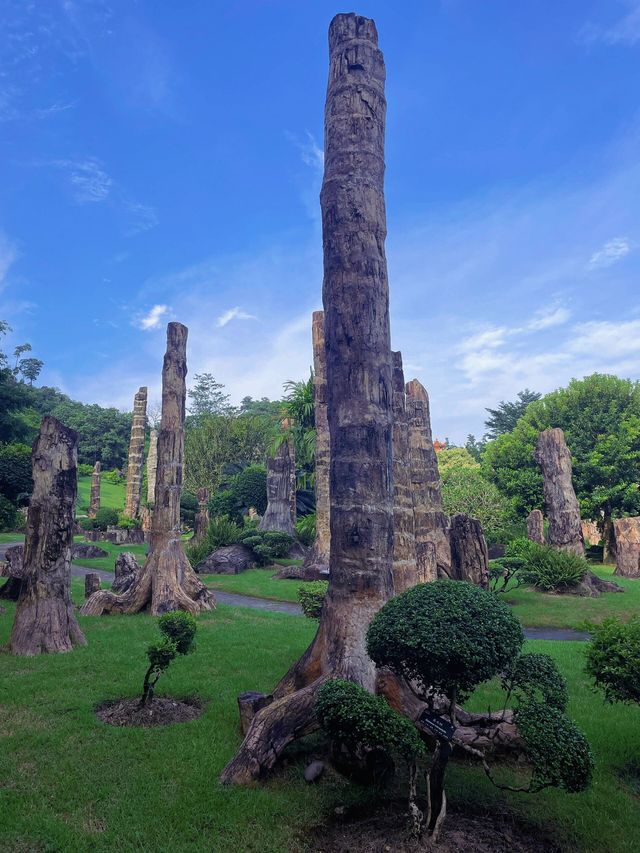 仙湖植物園，我原稱之為深圳小絕境
