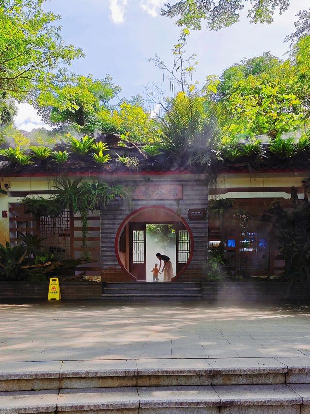 仙湖植物園，我原稱之為深圳小絕境