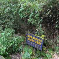 8月初的神農架，很美很涼爽，但是來前請三思