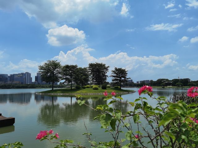 水上槳板飄