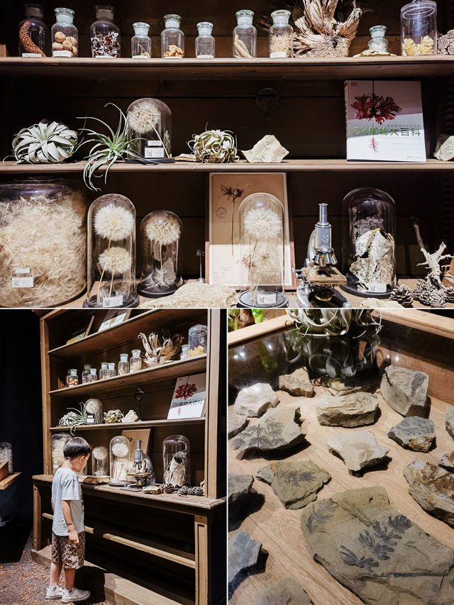 帶娃過暑假｜就在北京！好奇寶寶必逛的DK展