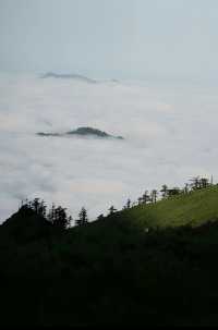 星空~落日~流星雨。
東梁露營徒步燒烤局
