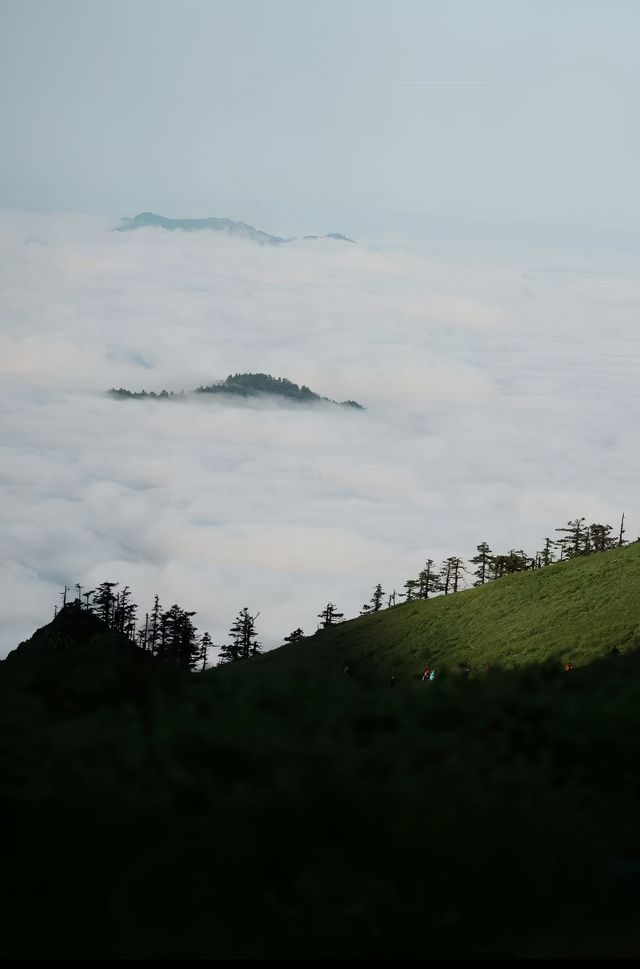 星空~落日~流星雨。
東梁露營徒步燒烤局