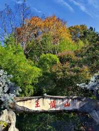 大自然氧吧,景區詳細攻略