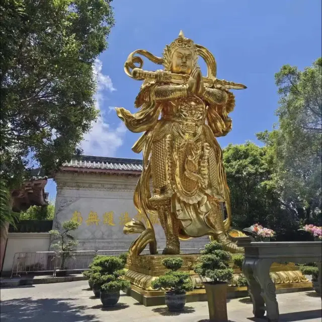 People from my hometown came to explore Shenzhen's Dahuaxing Temple, Tea Stream Valley, and Yunhai Square