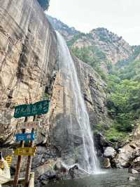 洛陽白雲山森林氧吧：一場心靈的洗禮
