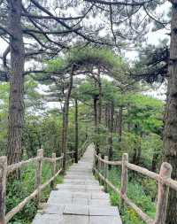 湖北咸寧九宮山丨“九宮清涼，避暑天堂”