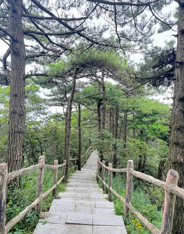 湖北咸寧九宮山丨“九宮清涼，避暑天堂”