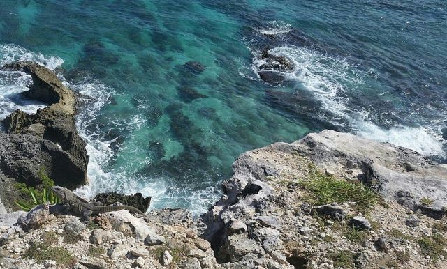 女人島珊瑚浮潛之旅，盡享海島風情美食。