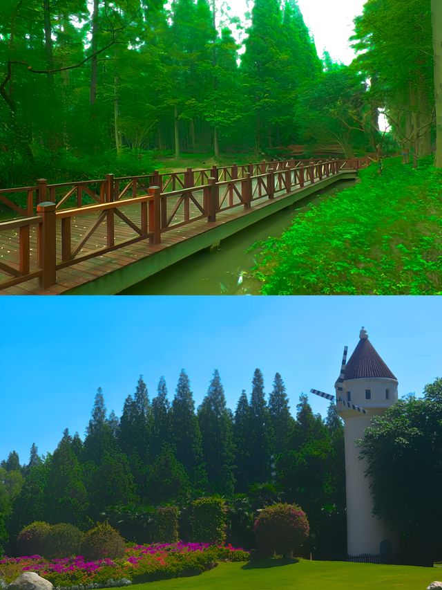 上海東平國家森林公園位於上海市崇明區北沿公路2188號。