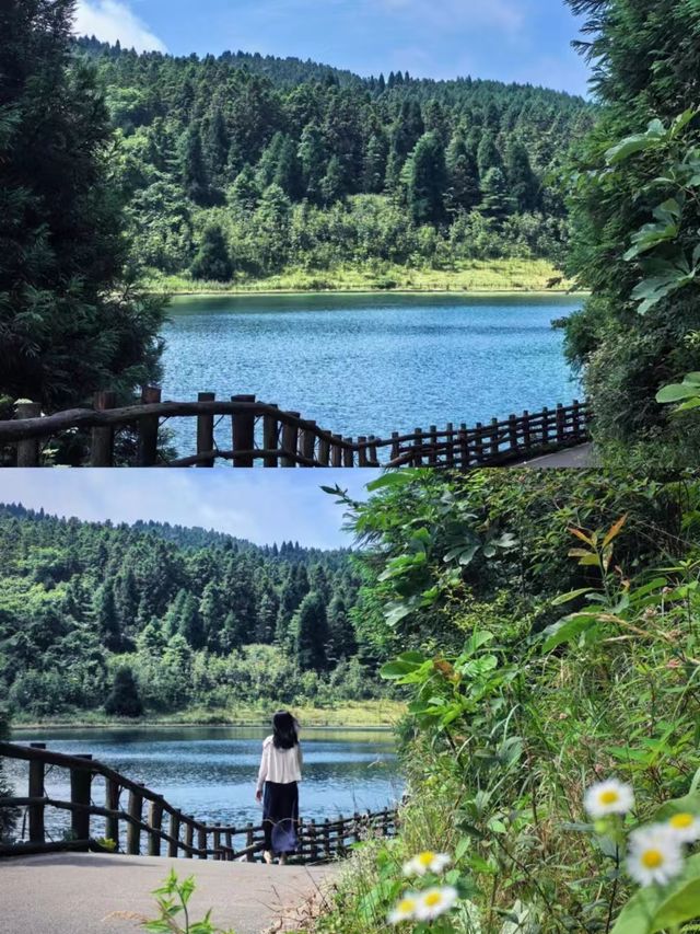 不是阿勒泰去不起而是重慶更有性價比！！。