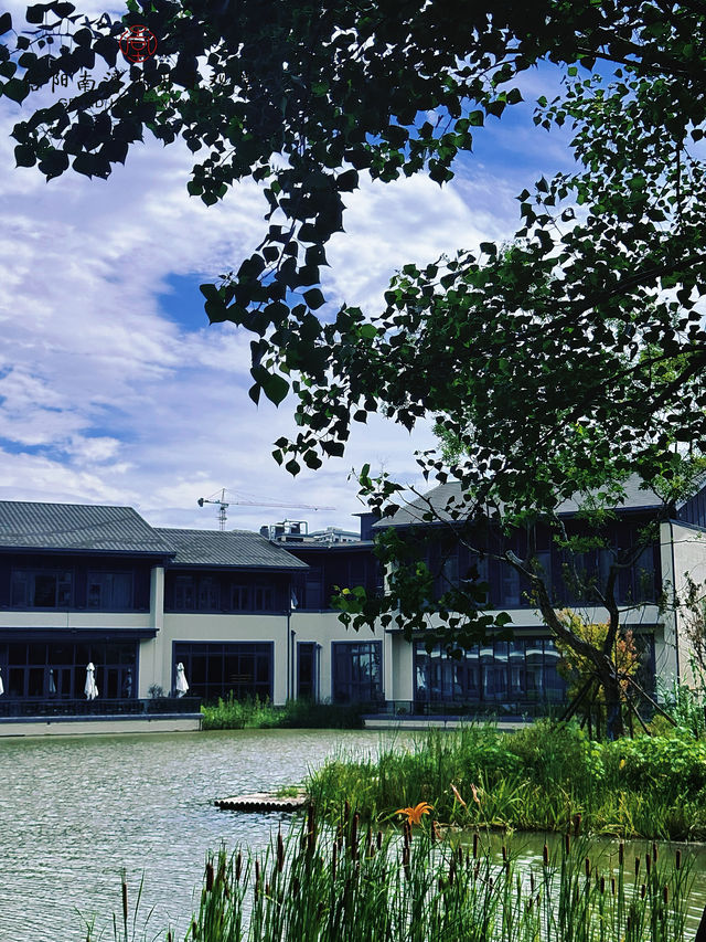 遇見信陽｜來場說走就走的度假旅行。