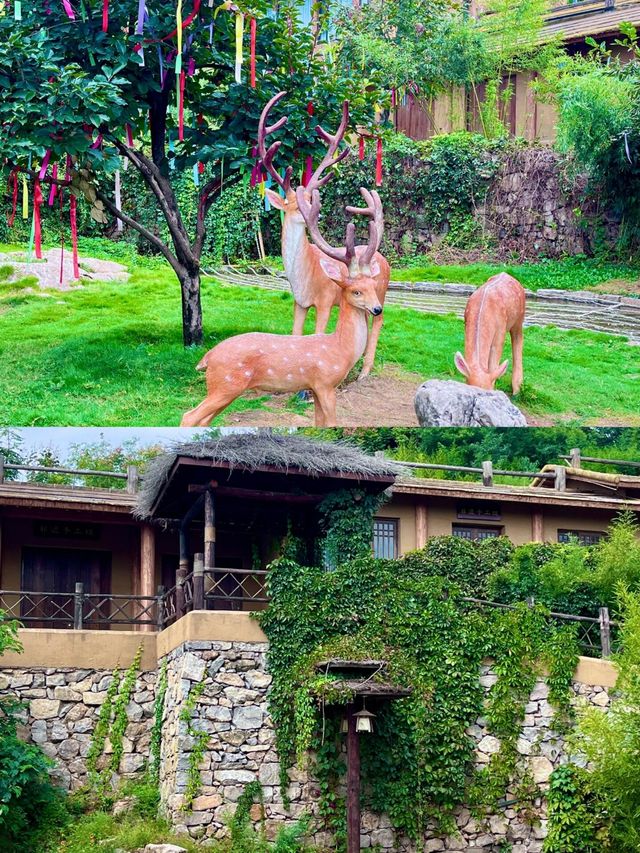 河南周邊遊｜被嚴重低估的小眾旅遊景點。