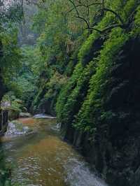 雲南省玉溪市哀牢山景區旅遊攻略 。