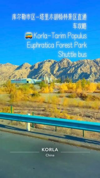Foreigne tourists  🚌 Korla-Tarim Populus Euphratica Forest Park Shuttle busGuide