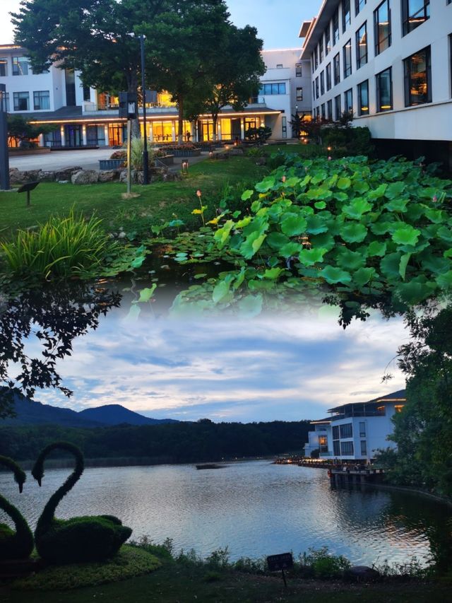 在南京，不得不體驗的南京紫金山莊，感受不同風情。