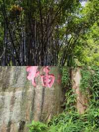 麓湖森林公園：徒步打卡，征服山巔之旅天麓湖森林公園：徒步打。