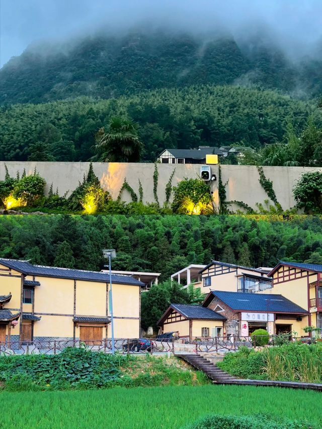 現實版的室外桃園! 現實版的室外桃園!