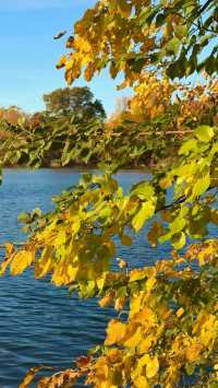 New York | Live Photos: Autumn Palette at Prospect Park